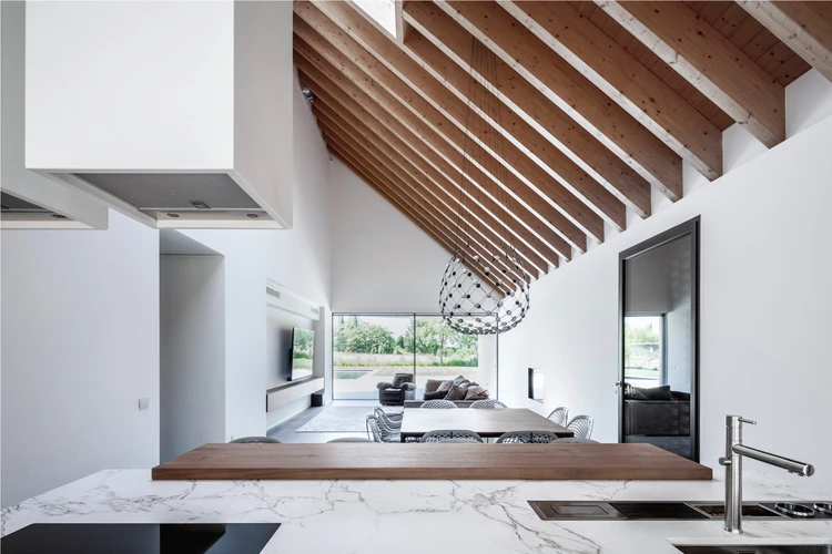 Detailed description of the picture